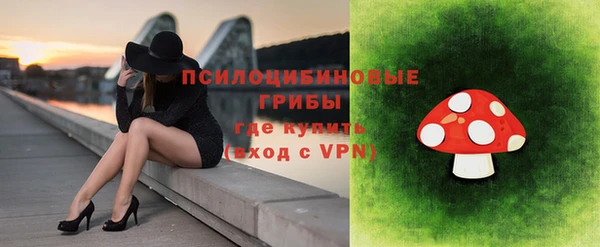 дживик Няндома