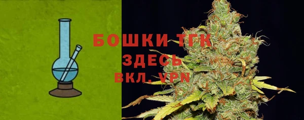 дживик Няндома