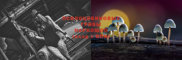героин Новозыбков