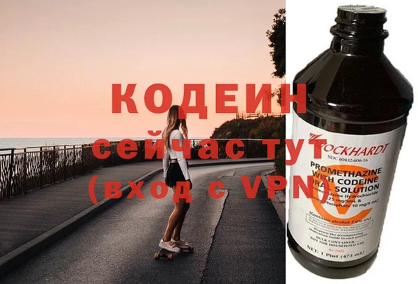 дживик Няндома