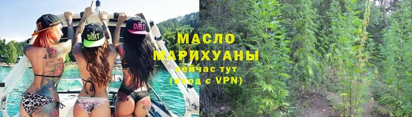 дживик Няндома