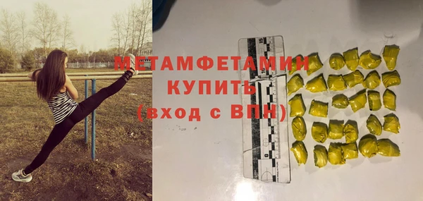 дживик Няндома
