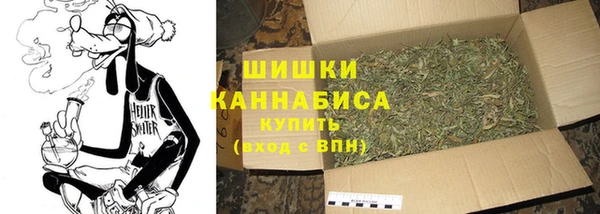 ECSTASY Новодвинск